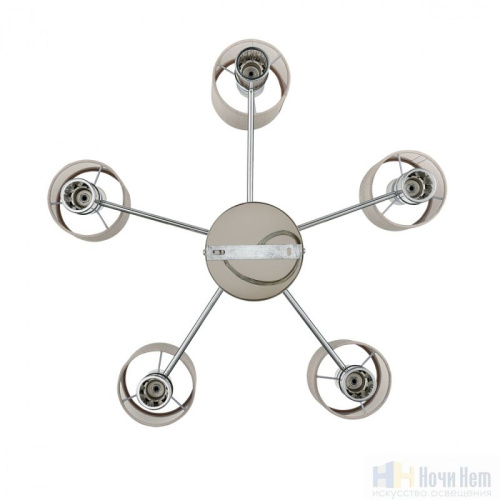 Люстра Lumion Arnika 6585/5, раздел каталога Люстры с плафонами интернет-магазина Ночи Нет