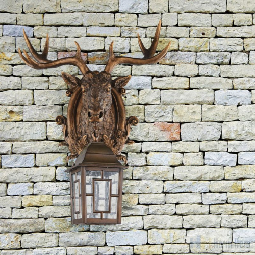 Светильник уличный Favourite Hunt 2078-1W, раздел каталога Настенные уличные светильники интернет-магазина Ночи Нет