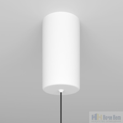 Подвесной светильник Maytoni Ray P022PL-L20W3K, раздел каталога Подвесы 1 лампа интернет-магазина Ночи Нет