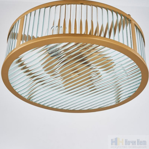 Люстра Favourite Radiales 3099-3P, раздел каталога Люстры с плафонами интернет-магазина Ночи Нет