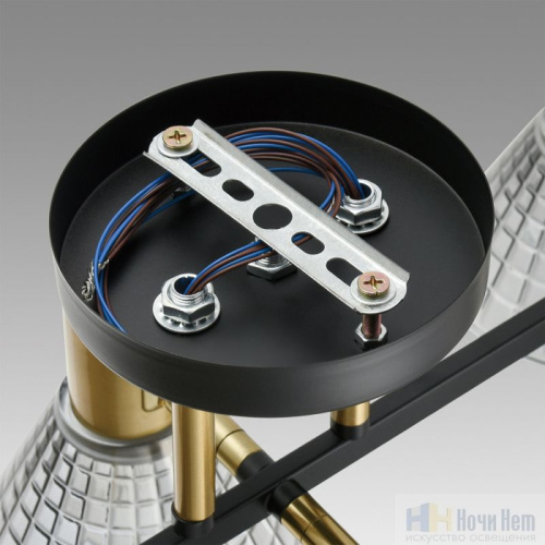 Люстра Lumion Anriya 8044/6C, раздел каталога Люстры с плафонами интернет-магазина Ночи Нет