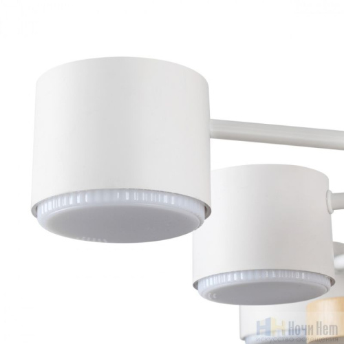 Люстра Lumion Rondo 8196/10C, раздел каталога Люстры с плафонами интернет-магазина Ночи Нет