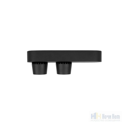 Спот LOFT IT Quiet 10320/2 Black, раздел каталога Споты интернет-магазина Ночи Нет