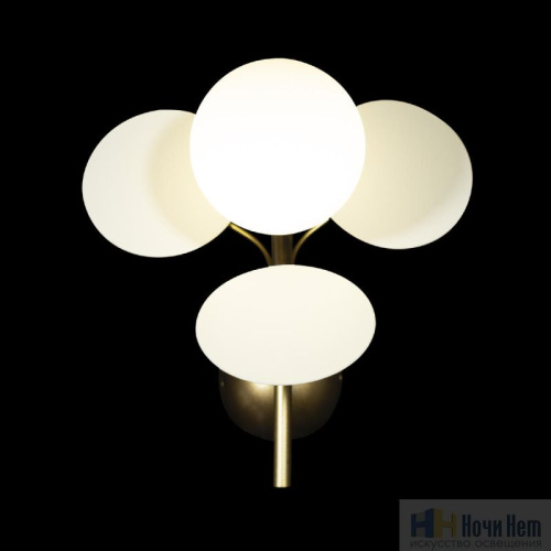 Бра Loft IT Matisse 10008/1W white, раздел каталога Бра с плафоном интернет-магазина Ночи Нет