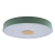 Светильник потолочный Loft IT Axel 10003/24 Green, раздел каталога Круглые современные светильники интернет-магазина Ночи Нет