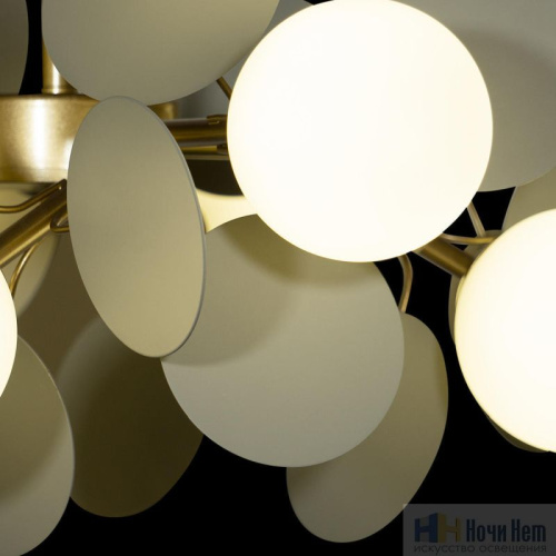 Люстра Loft IT Matisse 10008/8 Grey, раздел каталога Люстры с плафонами интернет-магазина Ночи Нет