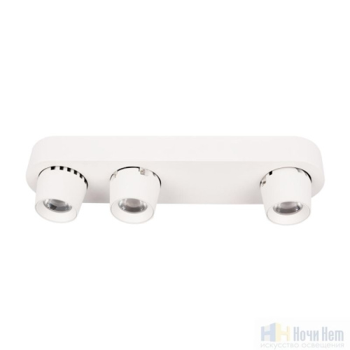 Спот LOFT IT Quiet 10320/3 White, раздел каталога Споты интернет-магазина Ночи Нет