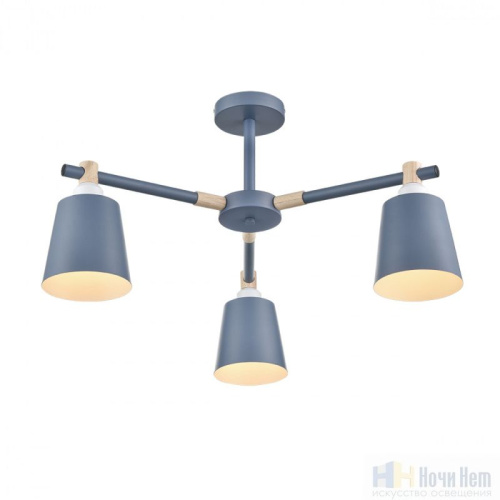 Люстра Lumion Rosalina 8098/3C, раздел каталога Люстры с плафонами интернет-магазина Ночи Нет