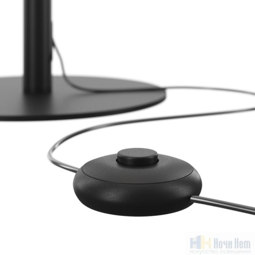 Торшер Maytoni Ray Z012FL-L18B3K, раздел каталога Светодиодные торшеры интернет-магазина Ночи Нет