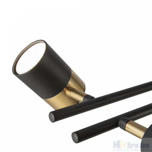 Люстра Freya Enzo FR5201PL-10B, раздел каталога Люстры с плафонами интернет-магазина Ночи Нет