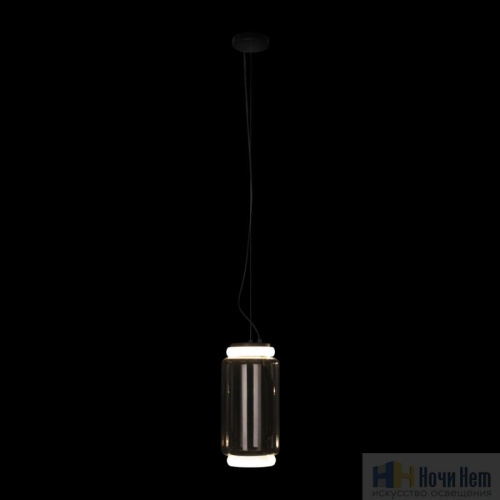 Светильник подвесной Loft IT Noctambule 10194/S, раздел каталога Подвесы 2-3 лампы интернет-магазина Ночи Нет