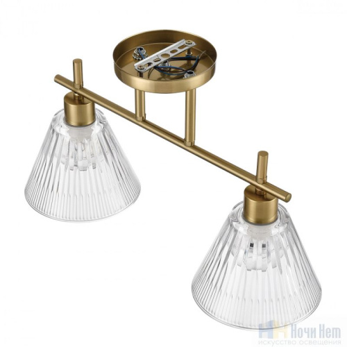 Люстра Lumion Vivian 8188/2C, раздел каталога Люстры с плафонами интернет-магазина Ночи Нет