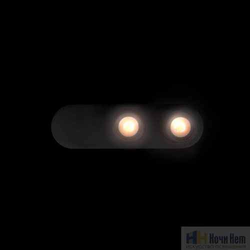 Спот LOFT IT Quiet 10320/2 Black, раздел каталога Споты интернет-магазина Ночи Нет