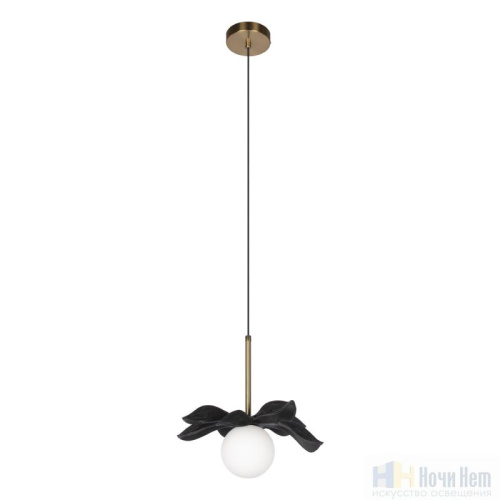 Светильник подвесной Loft IT Monro 10213/A Black, раздел каталога Подвесы 1 лампа интернет-магазина Ночи Нет