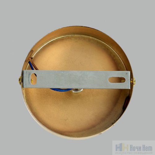 Бра Lumion Vivien 6580/1W, раздел каталога Бра с плафоном интернет-магазина Ночи Нет