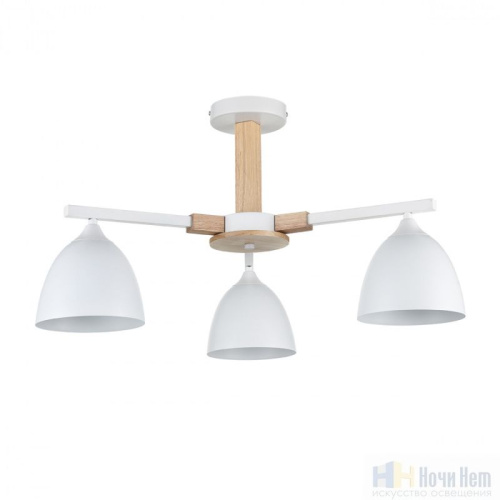 Люстра Lumion Colange 8095/3C, раздел каталога Люстры с плафонами интернет-магазина Ночи Нет