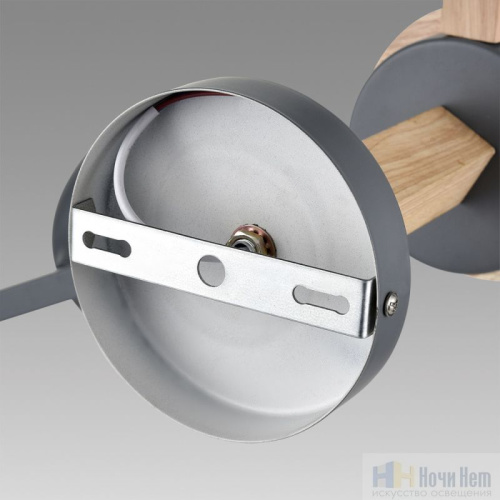 Люстра Lumion Colange 8096/3C, раздел каталога Люстры с плафонами интернет-магазина Ночи Нет