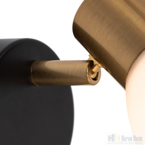 Спот Arte Lamp Falena A3117AP-1BK, раздел каталога Споты интернет-магазина Ночи Нет