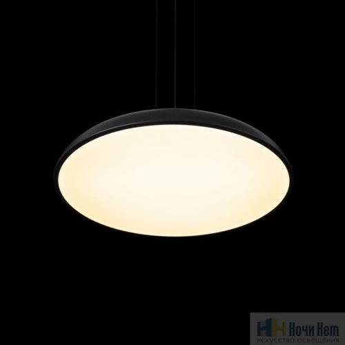 Светильник подвесной LOFT IT Dime 10371P Black, раздел каталога Подвесы 1 лампа интернет-магазина Ночи Нет