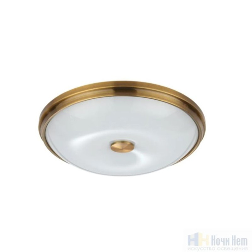 Светильник настенно-потолочный Odeon Light Pelow 4956/4, раздел каталога Настенно-потолочные светильники интернет-магазина Ночи Нет