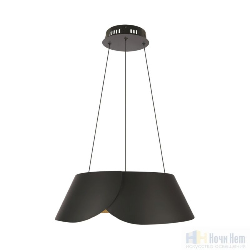 Светильник подвесной LOFT IT Lane 10370P Black, раздел каталога Подвесы 1 лампа интернет-магазина Ночи Нет