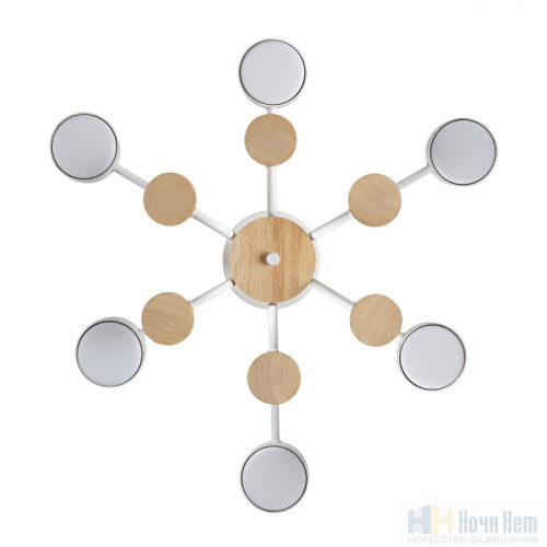 Люстра Lumion Rondo 8231/6C, раздел каталога Люстры с плафонами интернет-магазина Ночи Нет