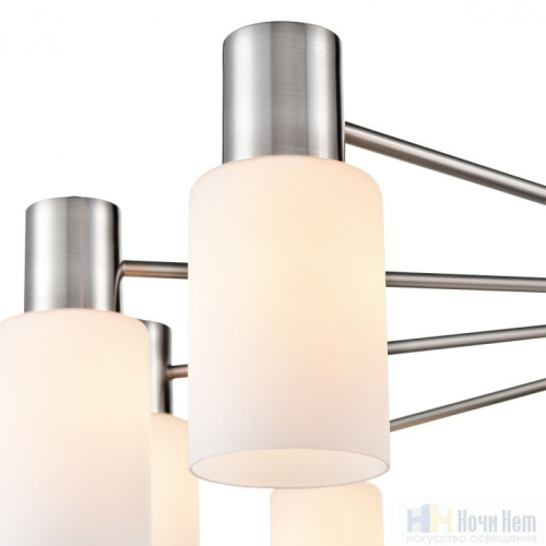 Люстра Lumion Mave 8099/8C, раздел каталога Люстры с плафонами интернет-магазина Ночи Нет