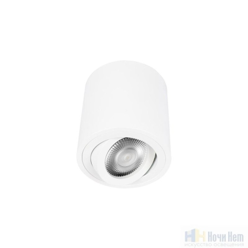 Светильник накладной LOFT IT Unit 10340/B White, раздел каталога Накладные точечные светильники интернет-магазина Ночи Нет