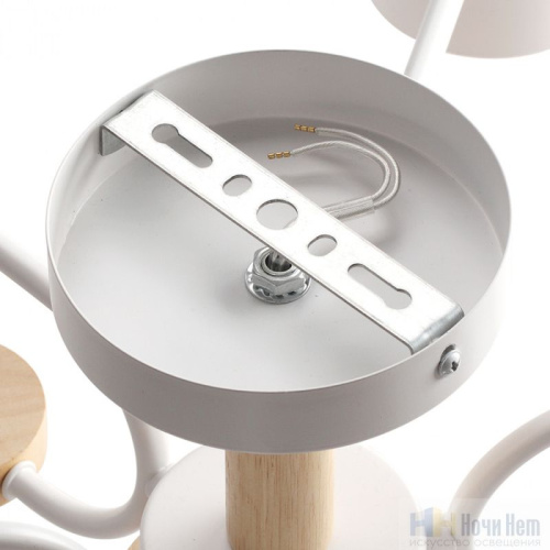 Люстра Lumion Rondo 8231/6C, раздел каталога Люстры с плафонами интернет-магазина Ночи Нет