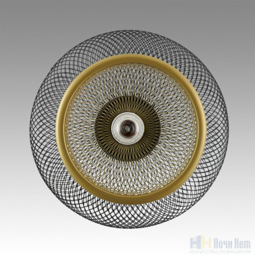 Светильник подвесной Lumion Leonela 8052/1A, раздел каталога Подвесы 1 лампа интернет-магазина Ночи Нет