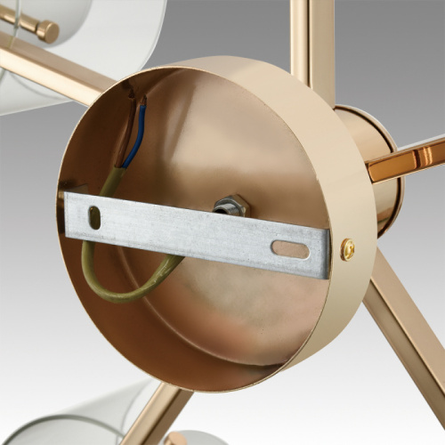 Люстра Lumion Verdi 6587/5C, раздел каталога Люстры с плафонами интернет-магазина Ночи Нет