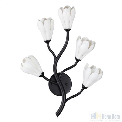 Бра Odeon Light Gardi 5090/5W, раздел каталога Бра с плафоном интернет-магазина Ночи Нет