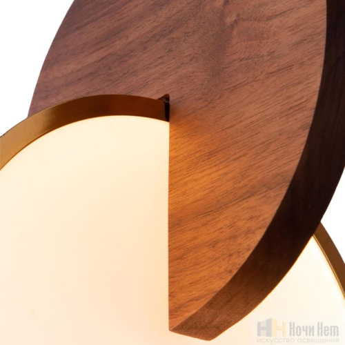 Светильник подвесной Loft IT ECLIPSE 9970C, раздел каталога Подвесы 1 лампа интернет-магазина Ночи Нет