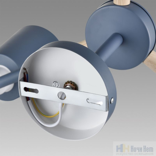 Люстра Lumion Rosalina 8098/3C, раздел каталога Люстры с плафонами интернет-магазина Ночи Нет