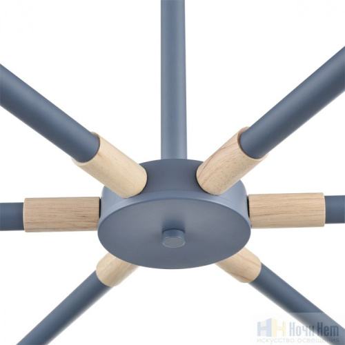 Люстра Lumion Rosalina 8098/6C, раздел каталога Люстры с плафонами интернет-магазина Ночи Нет