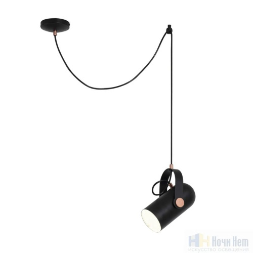 Светильник подвесной Favourite Ampolla 2007-1P, раздел каталога Подвесы 1 лампа интернет-магазина Ночи Нет