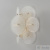 Бра Crystal Lux DANDELION AP2 GOLD 4060/402, раздел каталога Стеклянные бра интернет-магазина Ночи Нет