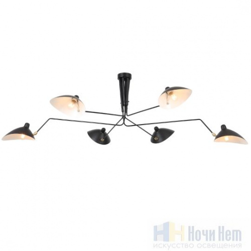 Люстра St.Luce Spruzzo SL305.402.06, раздел каталога Люстры с плафонами интернет-магазина Ночи Нет