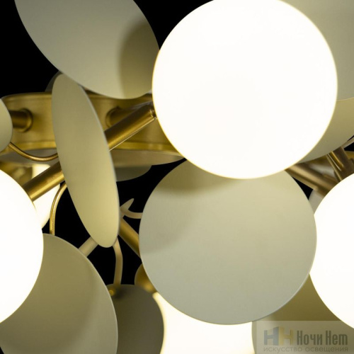 Люстра Loft IT Matisse 10008/12 Grey, раздел каталога Люстры с плафонами интернет-магазина Ночи Нет