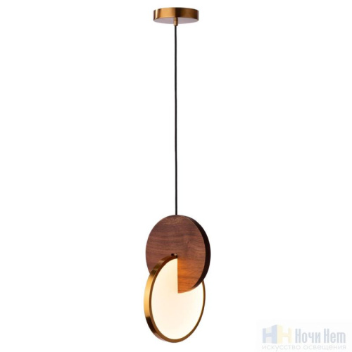 Светильник подвесной Loft IT ECLIPSE 9970C, раздел каталога Подвесы 1 лампа интернет-магазина Ночи Нет