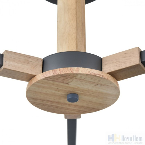 Люстра Lumion Colange 8096/3C, раздел каталога Люстры с плафонами интернет-магазина Ночи Нет