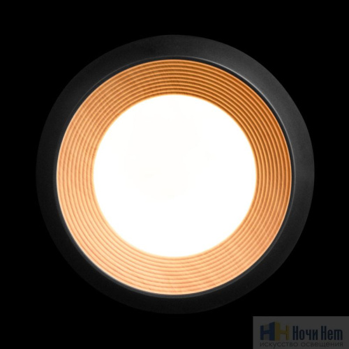 10255/350 Black Потолочный светильник LOFT IT Folk, раздел каталога Круглые современные светильники интернет-магазина Ночи Нет