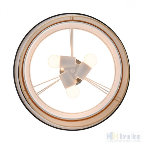 Светильник подвесной Lumion Indira 8041/3, раздел каталога Подвесы 2-3 лампы интернет-магазина Ночи Нет