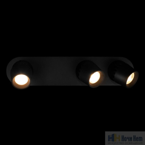 Спот LOFT IT Quiet 10320/3 Black, раздел каталога Споты интернет-магазина Ночи Нет