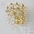 Бра Crystal Lux EDEN AP2 GOLD 3870/402, количество ламп - 2, площадь освещения - 4 кв.м Бра Crystal Lux EDEN AP2 GOLD 3870/402, раздел каталога Хрустальные бра интернет-магазина Ночи Нет