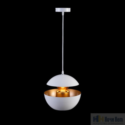 Светильник подвесной Loft IT Apple LOFT2213-A, раздел каталога Подвесы 1 лампа интернет-магазина Ночи Нет