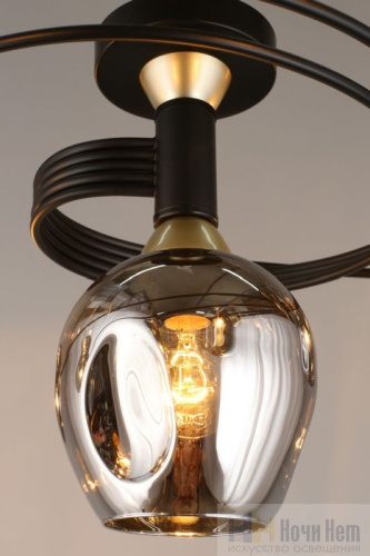 Люстра Aployt Flor APL.611.17.06, раздел каталога Люстры с плафонами интернет-магазина Ночи Нет