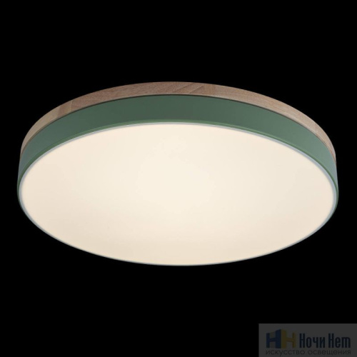 Светильник потолочный Loft IT Axel 10001/36 Green, раздел каталога Круглые современные светильники интернет-магазина Ночи Нет