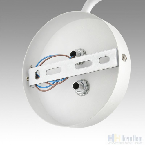 Бра Lumion Karina 8241/1W, раздел каталога Бра с плафоном интернет-магазина Ночи Нет