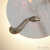 Бра Odeon Light Snake 7033/10WL, раздел каталога Светодиодные бра интернет-магазина Ночи Нет